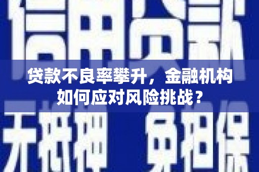 永平贷款不良率攀升，金融机构如何应对风险挑战？