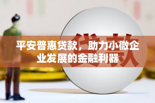 永平平安普惠贷款，助力小微企业发展的金融利器