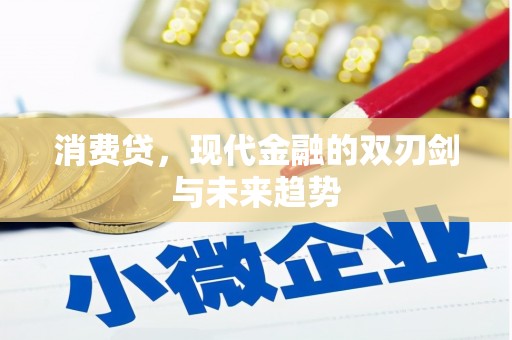 永平消费贷，现代金融的双刃剑与未来趋势