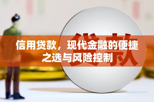 永平信用贷款，现代金融的便捷之选与风险控制