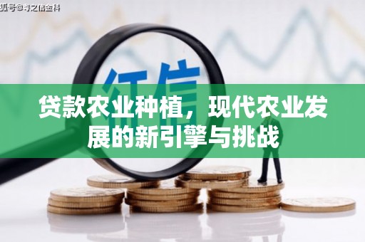 永平贷款农业种植，现代农业发展的新引擎与挑战