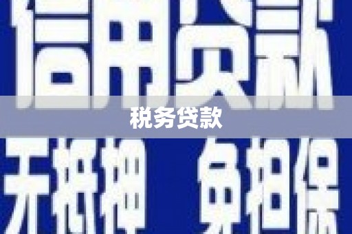 永平税务贷款