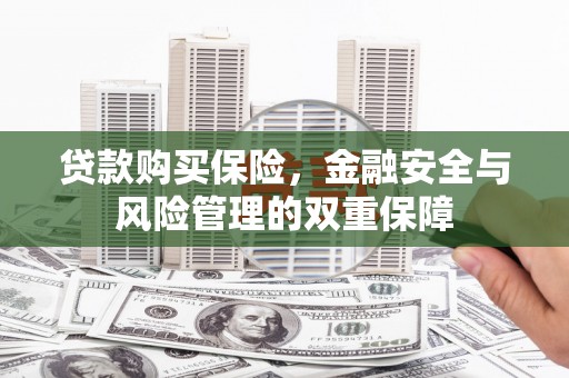 永平贷款购买保险，金融安全与风险管理的双重保障