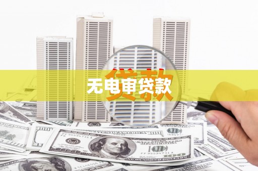 永平无电审贷款