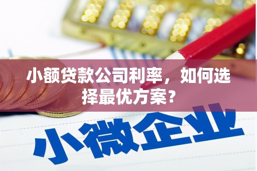 永平小额贷款公司利率，如何选择最优方案？