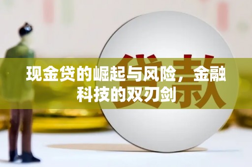 永平现金贷的崛起与风险，金融科技的双刃剑
