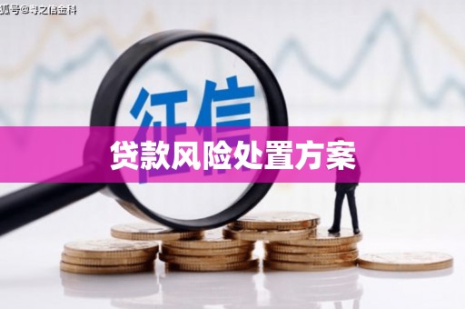 永平贷款风险处置方案