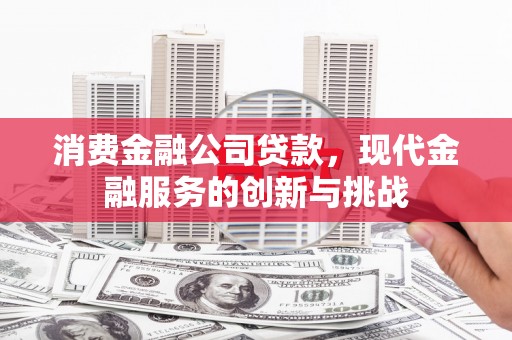 永平消费金融公司贷款，现代金融服务的创新与挑战