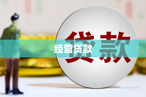 永平经营贷款