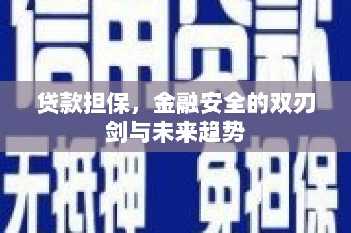 永平贷款担保，金融安全的双刃剑与未来趋势