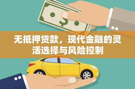 永平无抵押贷款，现代金融的灵活选择与风险控制