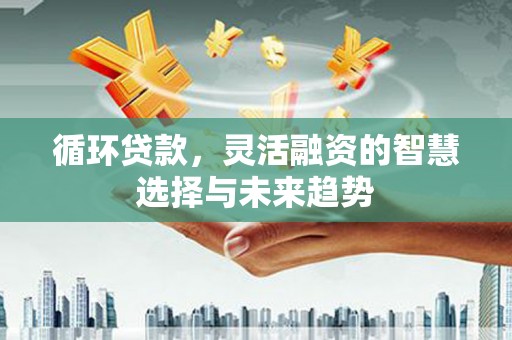 永平循环贷款，灵活融资的智慧选择与未来趋势