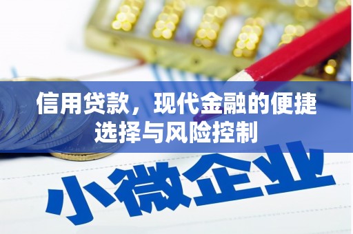 永平信用贷款，现代金融的便捷选择与风险控制