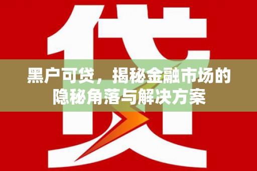 永平黑户可贷，揭秘金融市场的隐秘角落与解决方案