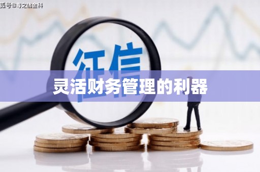 永平灵活财务管理的利器
