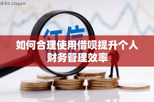 永平如何合理使用借呗提升个人财务管理效率
