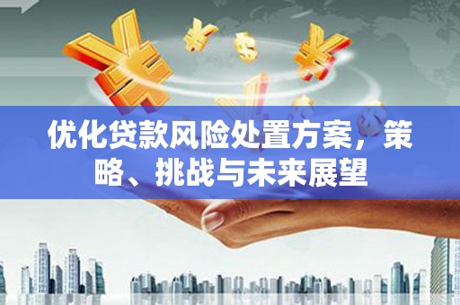 永平优化贷款风险处置方案，策略、挑战与未来展望