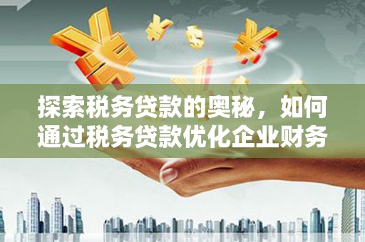 永平探索税务贷款的奥秘，如何通过税务贷款优化企业财务