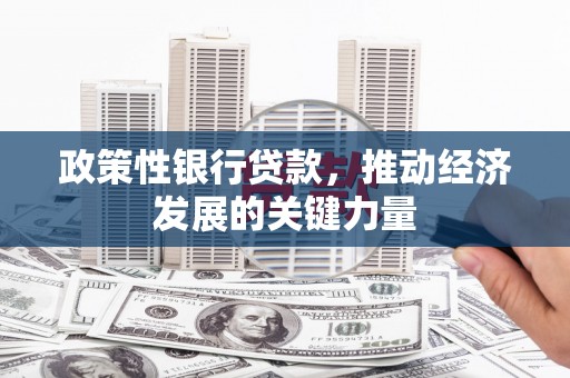 永平政策性银行贷款，推动经济发展的关键力量
