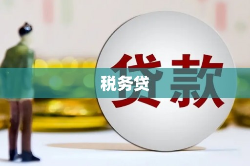 永平税务贷