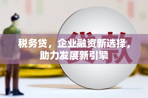 永平税务贷，企业融资新选择，助力发展新引擎