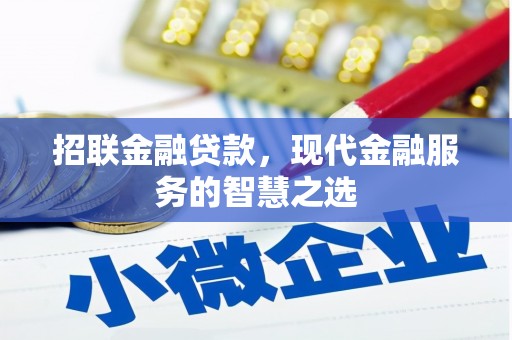 永平招联金融贷款，现代金融服务的智慧之选