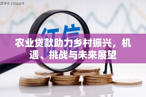 永平农业贷款助力乡村振兴，机遇、挑战与未来展望
