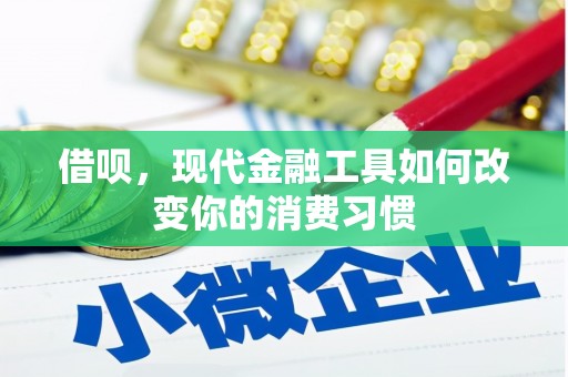 永平借呗，现代金融工具如何改变你的消费习惯
