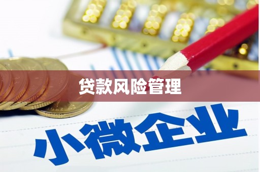 永平贷款风险管理