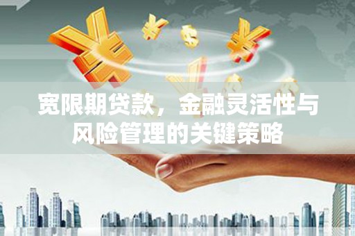 永平宽限期贷款，金融灵活性与风险管理的关键策略