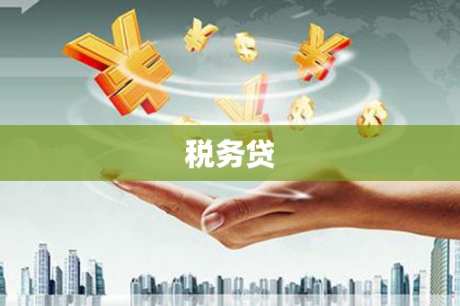 永平税务贷