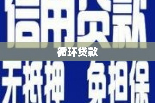 永平循环贷款