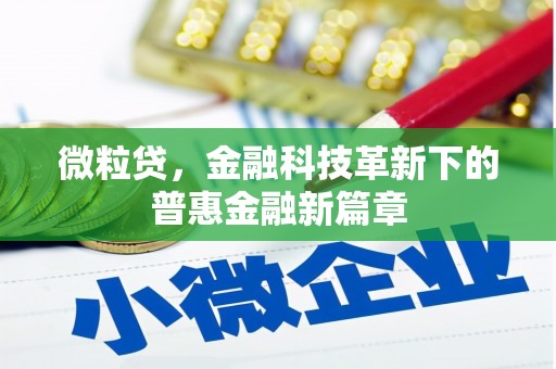 永平微粒贷，金融科技革新下的普惠金融新篇章