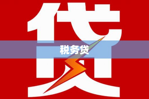 永平税务贷