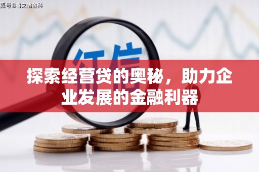 永平探索经营贷的奥秘，助力企业发展的金融利器