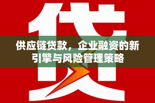 永平供应链贷款，企业融资的新引擎与风险管理策略