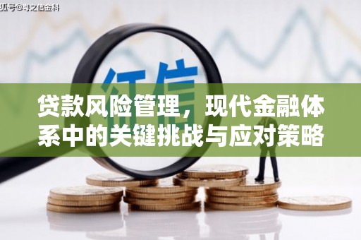 永平贷款风险管理，现代金融体系中的关键挑战与应对策略