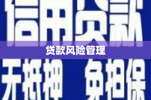 永平贷款风险管理