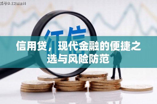 永平信用贷，现代金融的便捷之选与风险防范