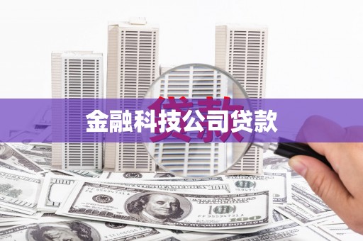 永平金融科技公司贷款