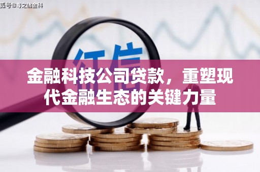 永平金融科技公司贷款，重塑现代金融生态的关键力量