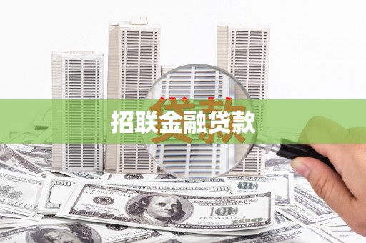 永平招联金融贷款