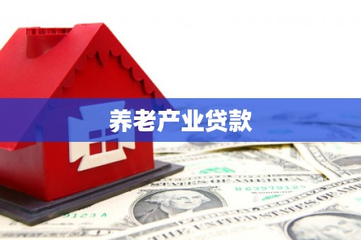 永平养老产业贷款