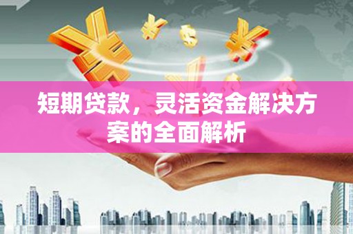 永平短期贷款，灵活资金解决方案的全面解析