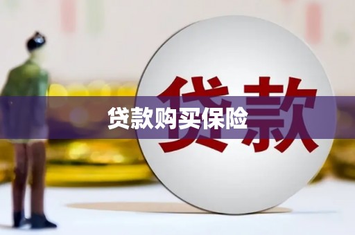 永平贷款购买保险