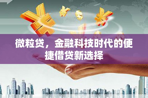 永平微粒贷，金融科技时代的便捷借贷新选择