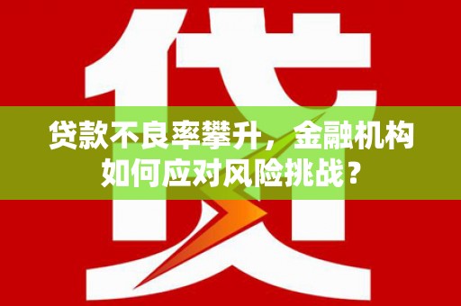 永平贷款不良率攀升，金融机构如何应对风险挑战？