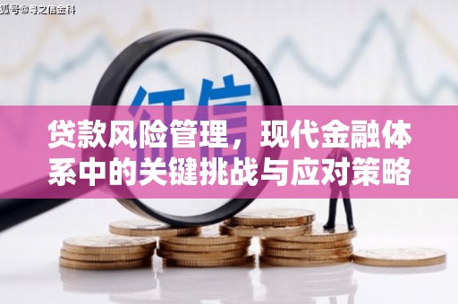 永平贷款风险管理，现代金融体系中的关键挑战与应对策略