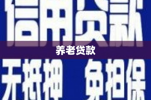 永平养老贷款