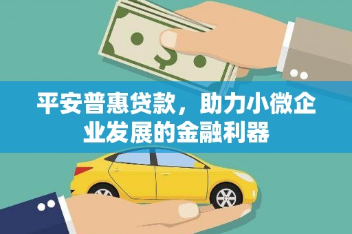 永平平安普惠贷款，助力小微企业发展的金融利器